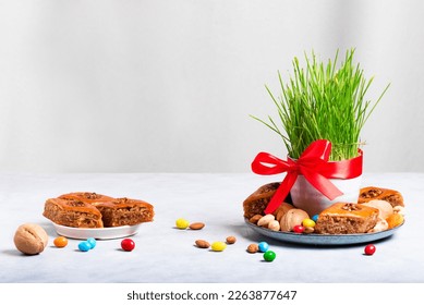 Novruz setting table decoration, wheat grass, baklava pastry and nuts. Nowruz arabic holiday, new year spring celebration, copy space. - Shutterstock ID 2263877647
