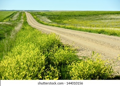 Nowhere Road. Unpaved Gravel Road In The Middle Of Nowhere. American Great Plains Road.