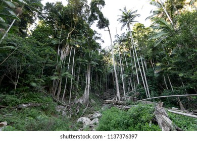 NSW, Queensland, Australia. 
01 05 2018: Mount Warning. 