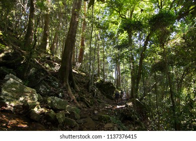 NSW, Queensland, Australia. 
01 05 2018: Mount Warning. 