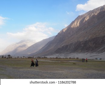 Nubra At Leh Ladakh