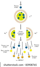 Nuclear fission chain reaction OF Uranium Atom - Useful for Educational Purposes - Scientific Field