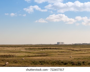 Nuclear Power Plant At Bradwell On Sea In Distance Over Land With Sheep Up Front Landscape; Essex; England; UK