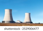 A nuclear power plant generates electricity by using nuclear reactions to produce heat. This heat turns water into steam, which then drives turbines connected to generators. 