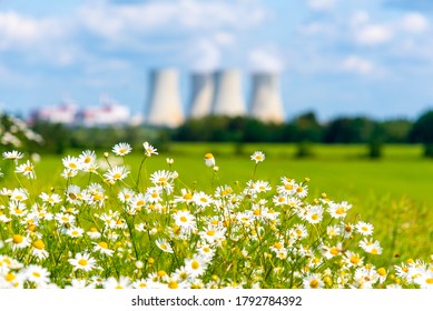 Nuclear power plant out of focus on the background of beautiful green and blooming summer meadow. Temelin, Czech Republic.