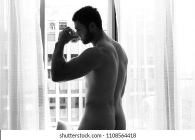 男性背中裸hd Stock Images Shutterstock