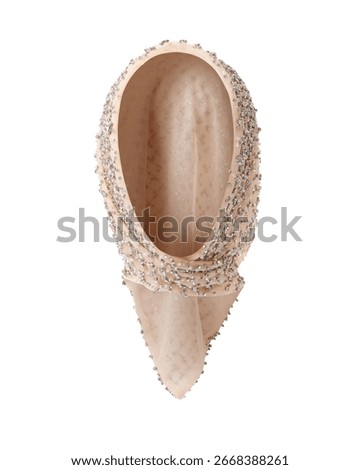 Nude mesh crystal embellished triangular headscarf with draped volume and pointed tail, designed for festive womens wear and styled in volumetric shot