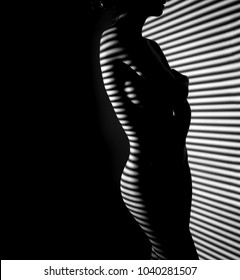 Nude Woman Sexy Artistic Black And White Line Art Photo