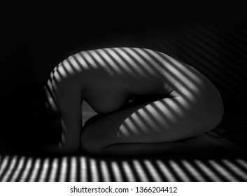 nude woman sexy Artistic black and white line art photo