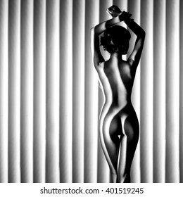 Nude Woman Sexy Artistic Black And White Line Photo