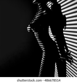 Nude Woman Sexy Artistic Black And White Line Blur Photo