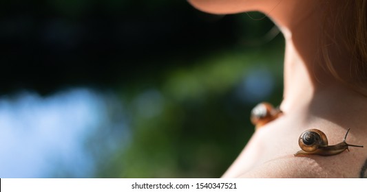 Nude Woman Snails On Her Body Stock Photo Shutterstock