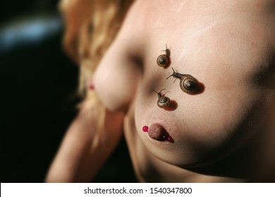 Nude Woman Snails On Her Body Stock Photo Shutterstock