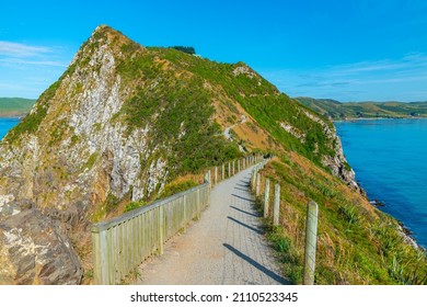 Nugget Point In New Zealand