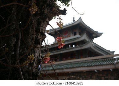 Nui Sam Chau Doc Giang Vietnam Stock Photo 2168418281 | Shutterstock