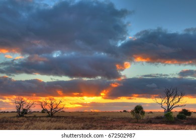 Nullarbor Plain, Australia