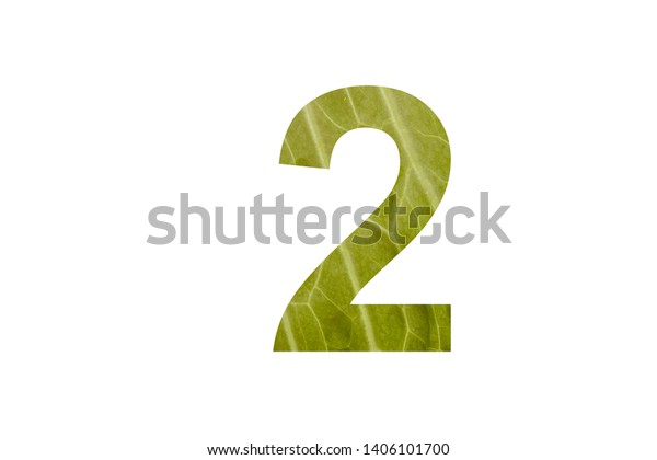 Number 2 Green Leaf Surface Texture Stock Photo 1406101700 Shutterstock