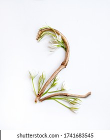 Number 2 From Tree Branches Decorated With Flowers, A Craft From Natural Materials On A White Background.
