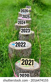 Number Of 2020 To 2027 On Stump Surface In Park, Representing The Past Year, The Current Year And The Future. The Past, Present And Future Concept. The Moving Forward Path