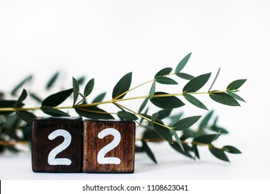 Number 22 ( Twenty-two )