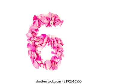 28,906 Rose number Images, Stock Photos & Vectors | Shutterstock