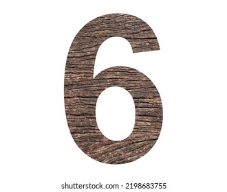 Number 6 - Rustic Tree Cortex Background