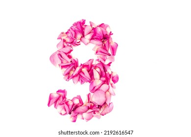 Number 9 Made Pink Petals Rose Stock Photo 2192616547 | Shutterstock