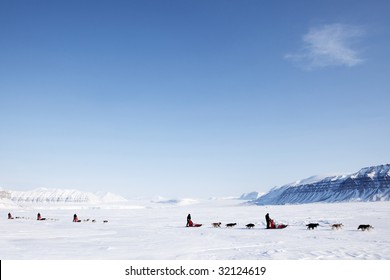 A number of dogsleds on a barren winter landscape