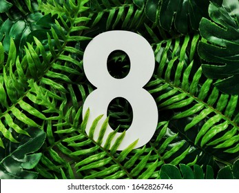Number eight shape on the green fern leaves background. Nature concept. Flat lay. Top view. 