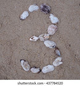 The Number Of The Shells 