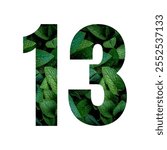 Number thirteen made of green leaves set on white background. Paper cut of number 13 isolated on white background. Nature concept of number. Font style