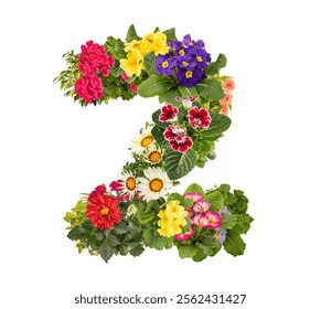 Number two made of various colorful flowers and plants