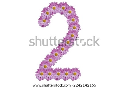 Number two, spring concept idea. Number two made with pink flower isolated on white background.