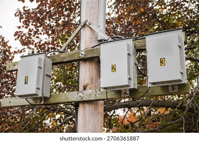 Numbered electrical junction boxes mounted on a wooden utility pole with cables and autumn foliage in the background, part of outdoor power infrastructure. High quality photo