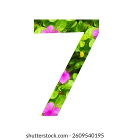 numbers 7 with floral theme on white background