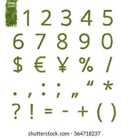 Numbers and punctation marks made of a pine needle