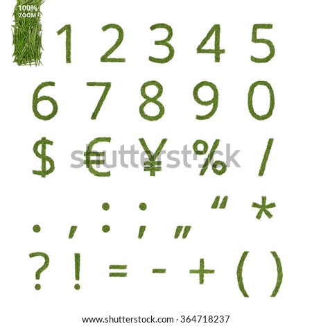 Numbers and punctation marks made of a pine needle