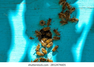 Numerous bees are actively buzzing around the round entrance of a wooden beehive painted in a vibrant blue color. Sunlight creates beautiful light streaks across the textured surface of the bee house.