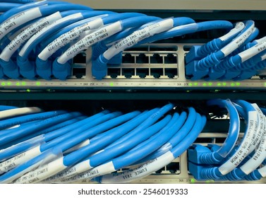 Numerous blue network cables, neatly labeled, are plugged into a busy server rack. The lights on the rack indicate active connections. The scene suggests a data center or server room environment. - Powered by Shutterstock