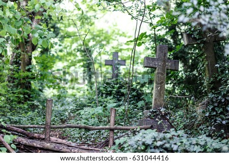 Nunhead cemetry in spring