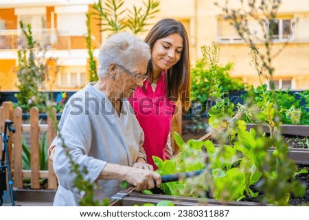 Nurse and elder woman cultivating plants in a garden in a geriatric