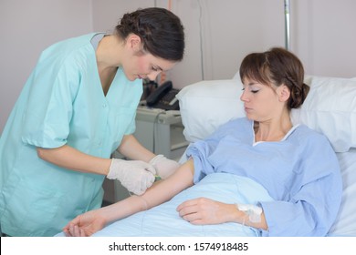a nurse finding patients vein - Shutterstock ID 1574918485