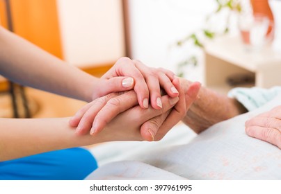 Nurse Holding The Hand Of An Elderly Woman, Showing Sympathy And Kindness.