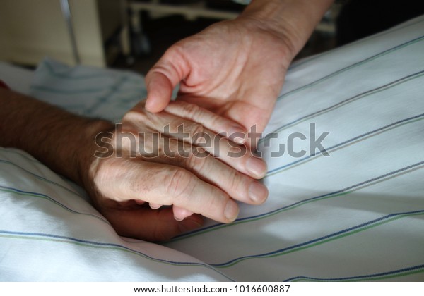 nurse holding a hand of a\
patient