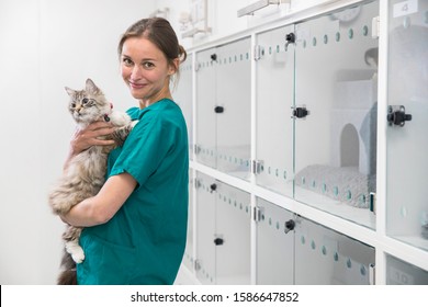 Nurse Holding Pet Cat In Recovery Room Of Vet Surgery Smiling At Camera