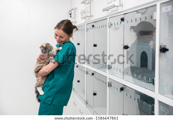 Nurse\
holding pet cat in recovery room of vet\
surgery