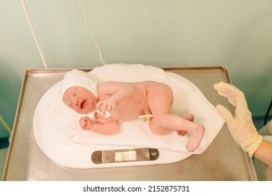 Nurse With Newborn Baby In Postpartum Ward. Medical Staff Caring, Weighing A Newborn Baby On Scales In Prenatal Hospital.