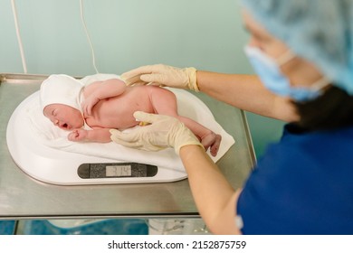 Nurse With Newborn Baby In Postpartum Ward. Medical Staff Caring, Weighing A Newborn Baby On Scales In Prenatal Hospital.