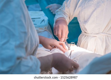 A Nurse, In The Operating Room, Gives Tools To A Pediatric Surgeon During An Operation For Pediatric Urology. Close-up