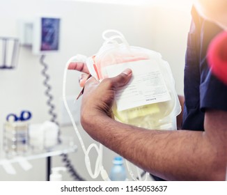 A Nurse, Phlebotomist, Or Technician Holds Empty Blood Collection Bags.